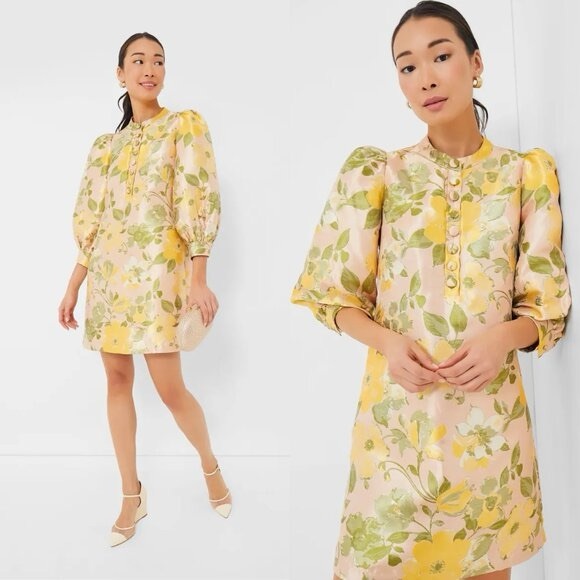 Tuckernuck Dresses & Skirts - POMANDER PLACE small Daylily Jacquard Samantha Dress EUC